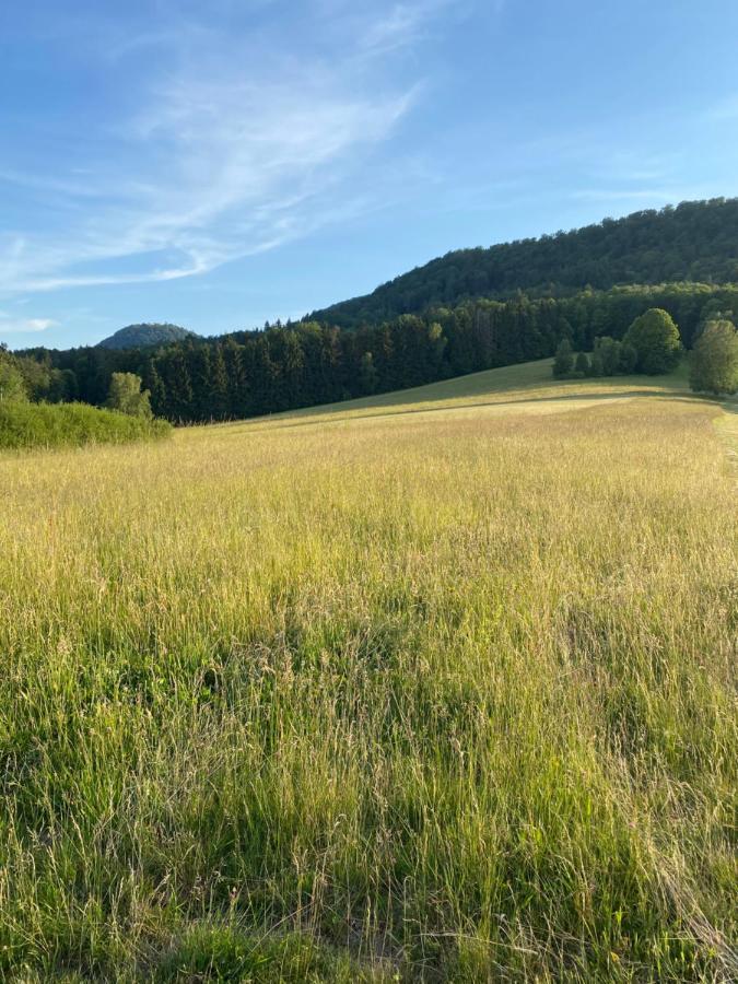 Ferienwohnung Burkhart Bundenthal 外观 照片