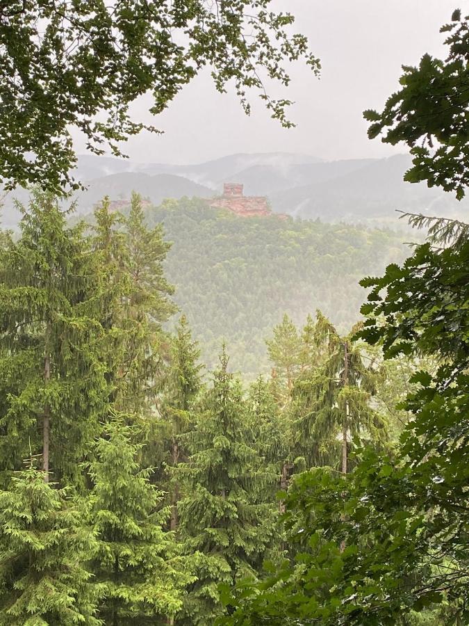 Ferienwohnung Burkhart Bundenthal 外观 照片